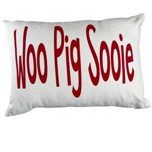 University of Arkansas Razorbacks Woo Pig Sooie Pillow | UArk Fan Decor 16.5 x 1